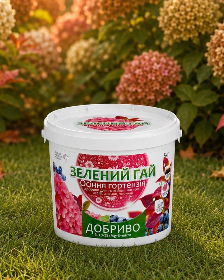 Осіння гортензія — добриво у саду
