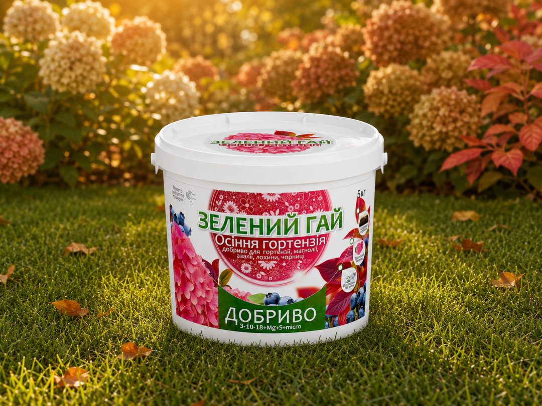 Осіння гортензія — добриво у саду
